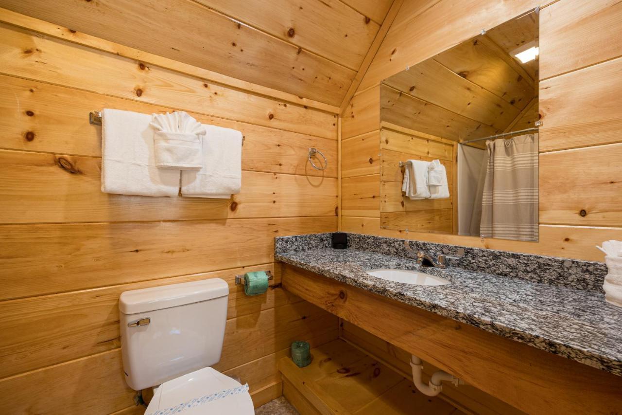 5bd5b Escape With 2 Hottubs, Thtr &game Rm,1mi To The Parkway! 4mi To Dollywood - Spring Appartement Pigeon Forge